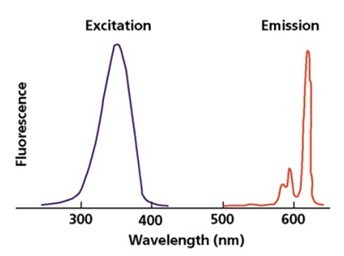 時(shí)間分辨熒光免疫層析